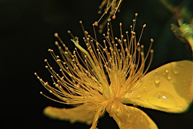 网站我的意思你懂：极限竞速地平线5今日上线，打造你的终极数字车库与竞速幻想-2