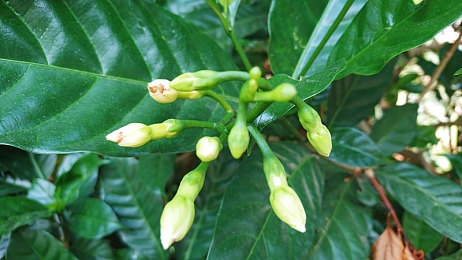 男人和女人干逼软件：极速狂飙革新驾驶体验，性别差异化物理引擎颠覆赛道对决-2