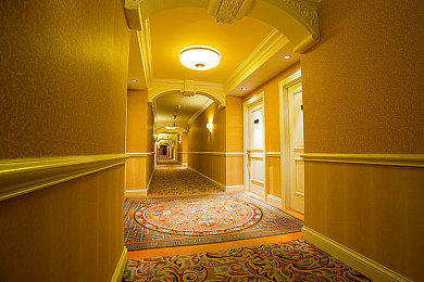 黄色软件下载2023已更新快报：极速都市新版上线，霓虹黄涂装与湿地赛道引爆竞速热潮-4