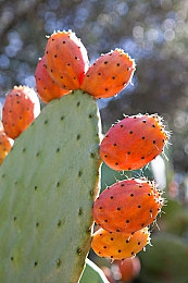 黄色直播软件3.0:虚拟赛道新作登场,极速直播引爆双重竞速热潮-3