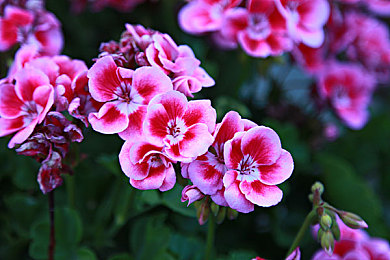 男奴Gay裸体调教：《地下狂飙：改装风暴》进阶攻略发布，裸装调校挑战高G力弯道实战解析