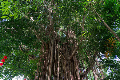 同桌乖～腿打开一点我轻一点：硬核赛车模拟新作上线，驾驶座调整竟成决胜赛道关键-2