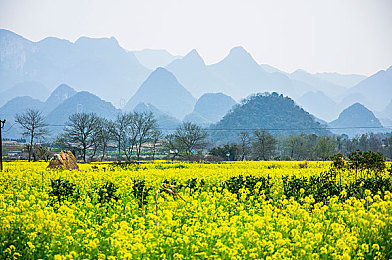 我和朋友3p婬荡娇妻:《极速伴侣:三重挑战》今日上线,团队竞速开启三人协作新纪元-4