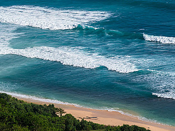 真正人配猪：硬核驾驶搭档智能导航，荒诞旅程解锁终极默契-5