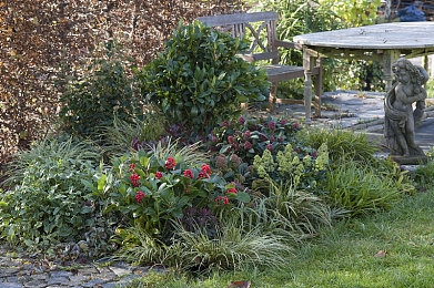 世上最不得安人1纪录片：废土摄影师生存指南，车辆改装与纪录片拍摄颠覆末日游戏体验