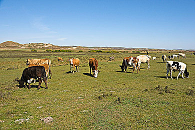 国产乱伦性爱网:道德迷宫中的抉择,网络审核员面临人性考验-3