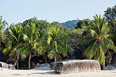 机机和机机手机免费下载版：机械狂潮席卷移动端，免费合成策略手游深度体验