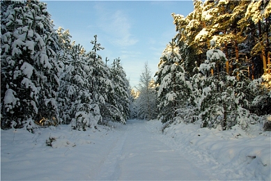 美女露奶头的软件：虚拟偶像搭档竞速，开放世界改装自由驰骋-4