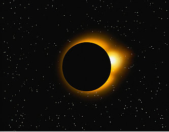 男人与雌宠物交XX：《荒野驯兽师》今日上线，深度评测揭秘人机羁绊核心玩法-4