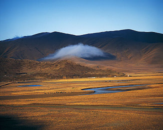 男人差差女人的软件：极速调校，风格迥异的赛道协奏曲-3