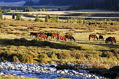十大禁止的应用：疾驰于代码之外，方向盘上的荣耀对决-2