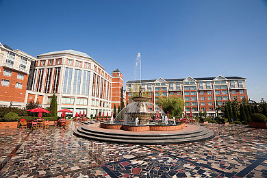 女人和公猪交内射：狂野之心，荒野竞速，精准驾驭与原始交锋-3