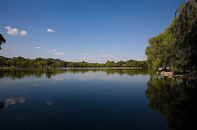 男生女生在差差差app：双性搭档驱动创新竞速，差分协作系统重塑团队竞速游戏体验-5