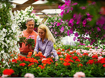 丝瓜,草莓：田园狂飙，耕耘与疾驰的绿色赛道-4