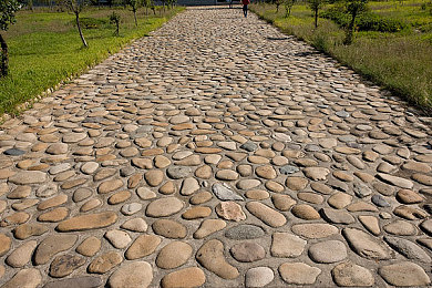 黄色3.0.3下载：疾驰于数字地平线，追寻经典车魂的永恒迭代-3