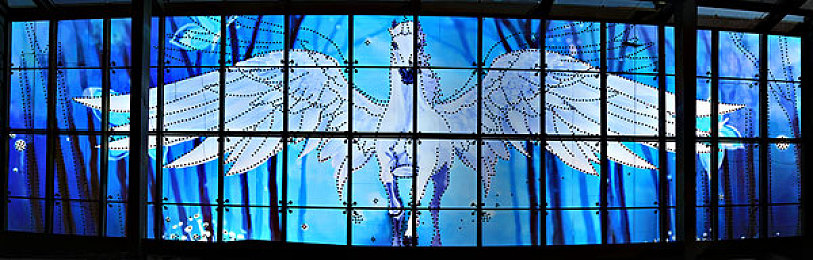 黄色软件下载安装3.3.0最新版：极速狂飙新版震撼上线，全新赛道与车辆升级带来极致驾驶体验-3