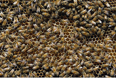 迪丽热巴被操在线观看：极速狂飙热巴赛道，都市霓虹下的竞速艺术与策略征服-2