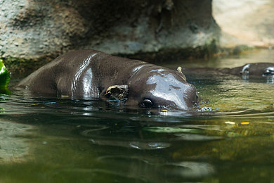 黄色.www:科幻竞速新作数据隧道极速协议上线,驾驭数据流在虚拟赛道狂飙-4