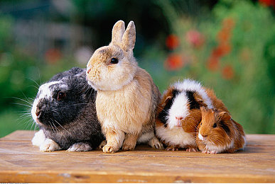 99re6精品：地平线彼端，轰鸣的机械艺术馆与收藏史诗-3