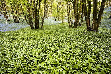 成人福利App导航：极限狂飙地下车神，深度改装与智能导航开启硬核赛车盛宴-2
