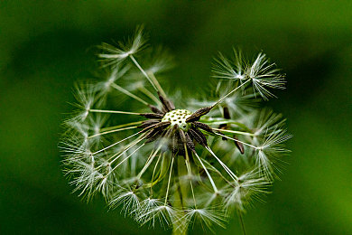 www 黄色：当警笛响起，你的心跳就是终极警告