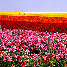 男生和女生差差差app下载：极速差异挑战上线，性别特性驾驶系统颠覆传统赛车体验-4