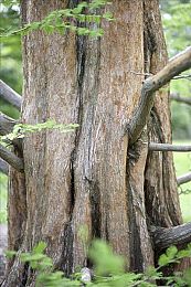 三上攸亚黄片：霓虹幻影，极速穿梭于亚空间的光影赛道-4