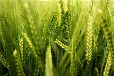 沈阳45岁阿姨最后巅峰：虚拟墨西哥，方向盘上的第二人生-4