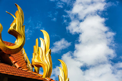 vivo黄色软件免费下载：极限竞速地平线移动版上线，开放世界竞速新体验-4