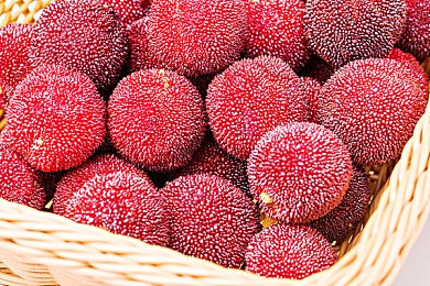 大象ceo影视传媒ceo新网：虚拟商业帝国今日崛起，影视传媒大亨由你扮演-2