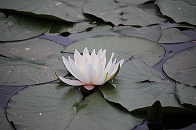 男人女人差差差：极速进化新玩法，驾驶风格差异成为赛道胜负关键-5