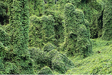 真人床上拔萝人：极速拉力新体验，赛车改装与趣味收集的完美融合