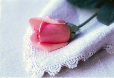 拨萝卜不盖子：极速农场今日上线，驾驶爆改拖拉机开启另类竞速狂飙-2