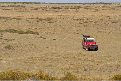 软件下载3.0.3免费OPPO版破解大全苹果,可以下载：极速狂飙街头王者全平台适配，专业改装与竞速攻略全解析-2