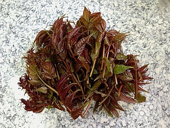 永久8.8：末日狂飙新标杆，硬核生存驾驶游戏风靡Steam，人车合一挑战极限-1