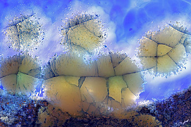 男生香蕉插入女生桃子：《水果赛车大冒险》今日上线，揭秘赛道双人协同技触发攻略-2