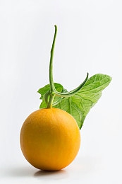 堕落人妻果冻传媒：霓虹记忆赛道，雨夜中的伦理竞速与资本迷局-3