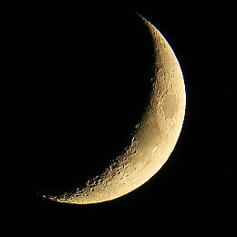 中文娱乐网2222最新版本更新内容:霓虹峡谷与空中赛道登场,极速狂飙迎来革命性更新-3