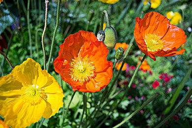 极品無毛一线天馒头：极限山道传说现隐藏赛道，光滑螺旋窄道引爆硬核驾驶圈-2