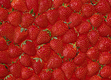 男生和女生做差差事情app：极速搭档革新竞速体验，双人差异化任务驱动默契革命