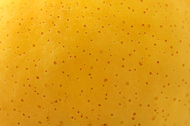 男生插女生软件下载：极速搭档，双人协同赛道风云竞速新体验-2