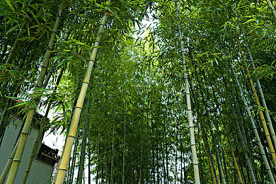 国产AV成人片：中国速度觉醒，硬核驾驶模拟开启竞速新纪元-4