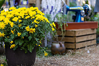 十大禁用黄：赛道色彩心理战，破解视觉干扰的冠军法则-4