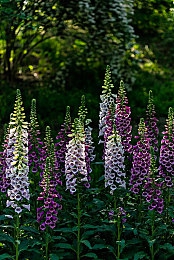 黄色软健:霓虹阻尼,像素驰骋,复古摇杆的竞速回响-4