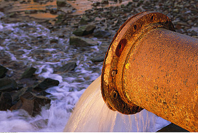 三年港版普通话版：从国际赛道到本土风情的竞速文化重塑之旅-4