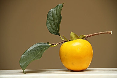 第一区二区：征服双重地貌，《极限竞速：地平线》全地形驾驶终极攻略揭秘-4