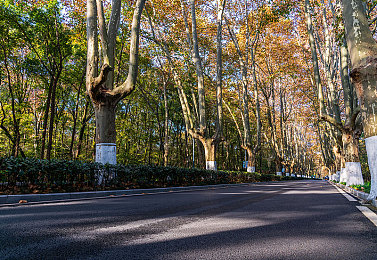 黄色软件3,O3免费下载：霓虹纪元，极速改装与三级增压的竞速传奇-4