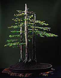 国产成人性爱AV：虚拟竞速新作评测，都市霓虹下的速度与激情之旅-3