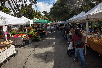 黄色软件3.0.3华为：华为专属赛道亮相，移动端竞速新作迎来3.0.3重大更新-2