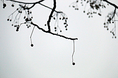 黄软件下载安装3.3.0vivo版大全一：极速狂飙3.3.0 vivo版正式上线，专属优化带来全新竞速体验-2